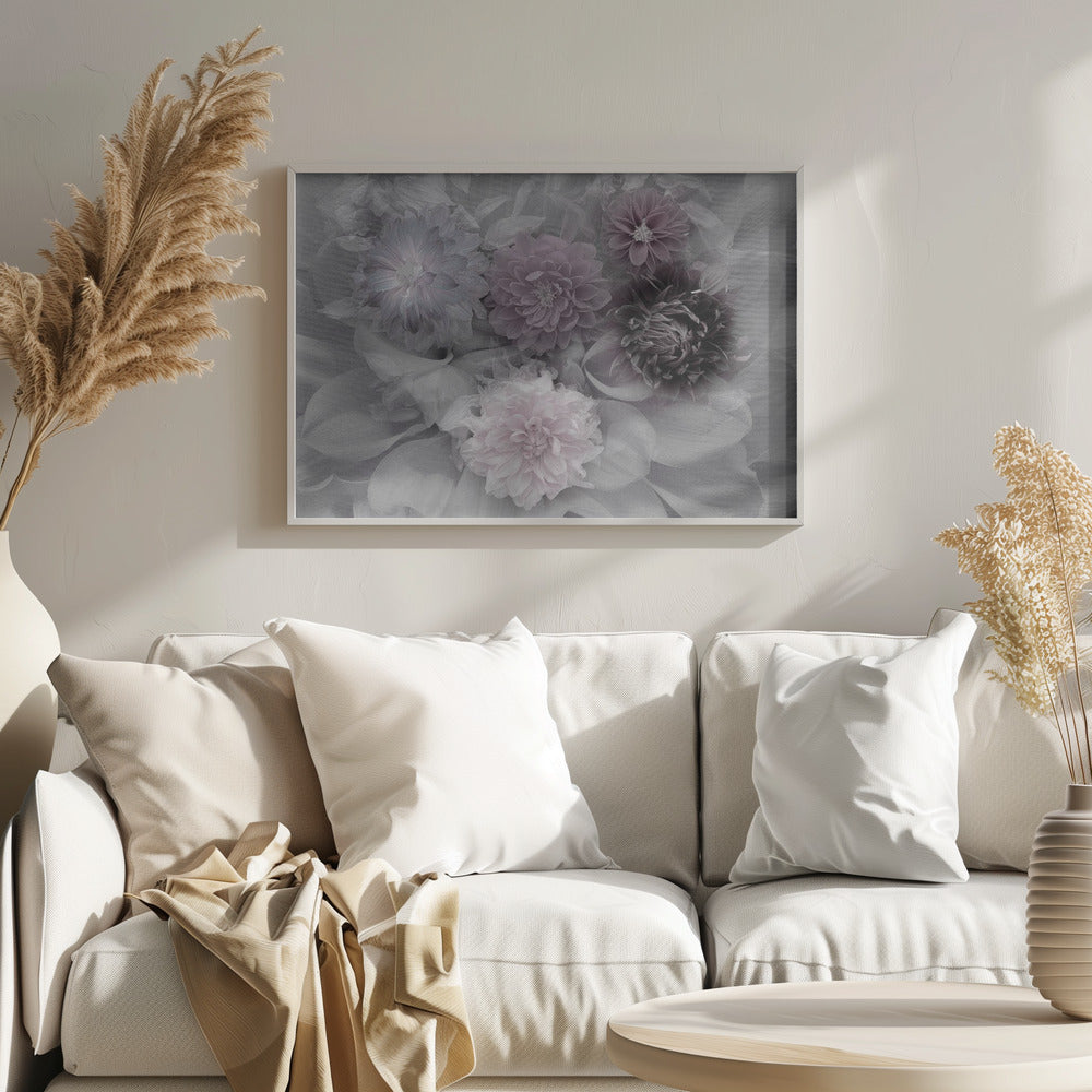 Dahlia dream Poster